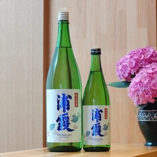 浦霞　 純米夏酒 浦霞